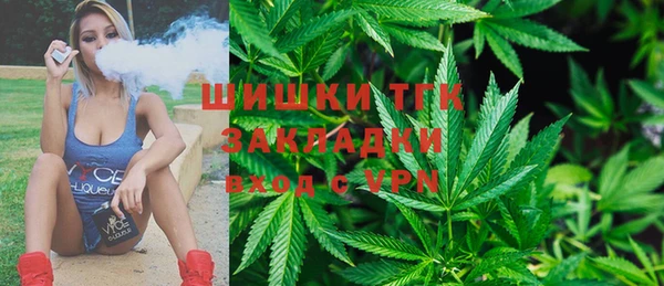 PSILOCYBIN Ладушкин