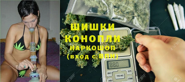 PSILOCYBIN Ладушкин